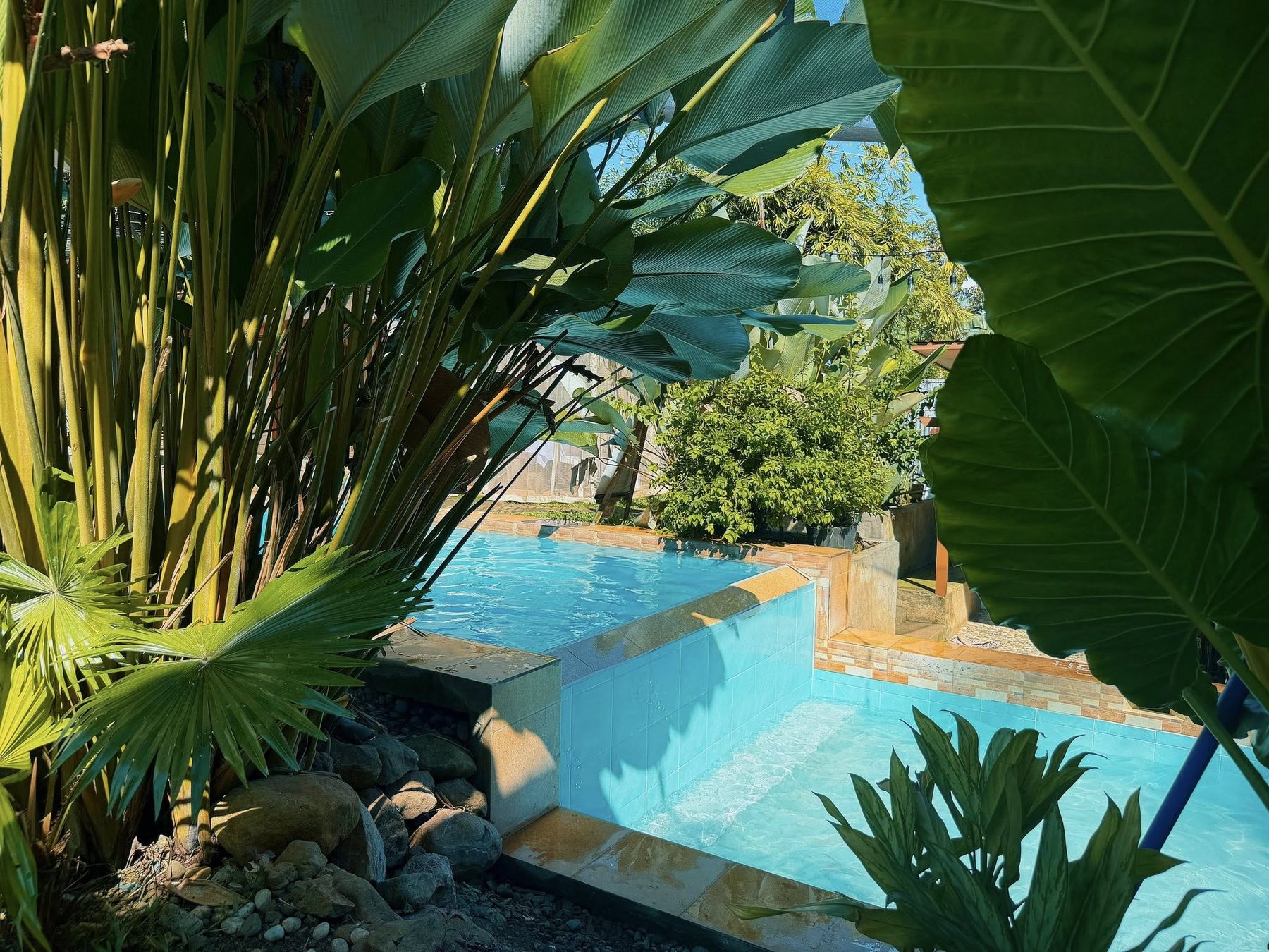 Villa D'Eliz - Pool & Lounge - photo 5